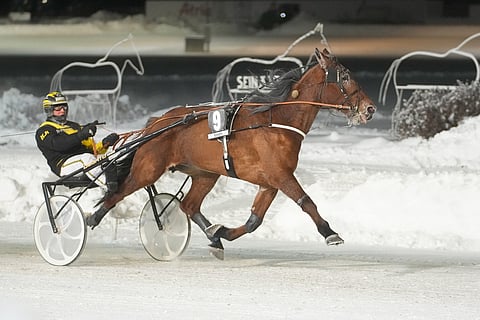 Henri Bollströmin ja Knows Manan yhteistyö sujuu: kolme starttia ja kolme keulavoittoa. Viimeisin tuli perjantaina Seinäjoella.