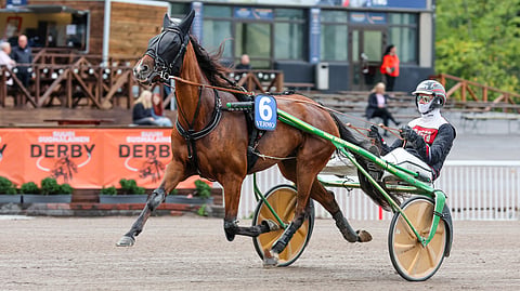 4-vuotiaaksi kääntynyt Sahara Cherie puristi kuolemanpaikalta  voittoon viime startissaan Lahdessa 10,5-lopetuksessa.