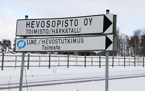 Ypäjän Hevosopistolla voitollinen tilinpäätös vuodelta 2024