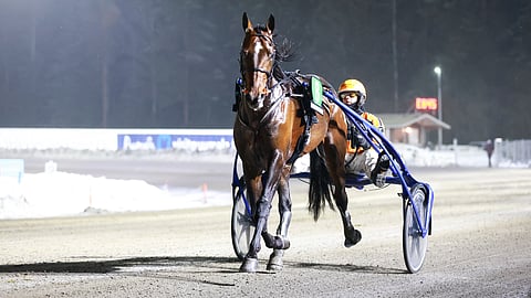 Jarel Boko on näyttävä 5-vuotias.