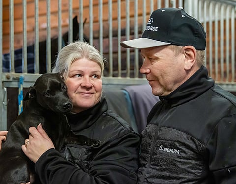 Jyrki ja Rinna Tammimetsän lisäksi myös Luka-koira viihtyy tallilla.