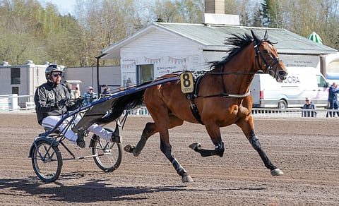Ravit Ruotsi