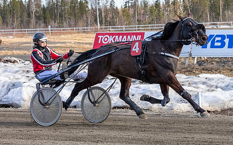Eveliina Leppäsen ohjastama Nite Owl paljasti kykynsä.