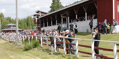 Yleisöä Mäntän paikallisraveissa