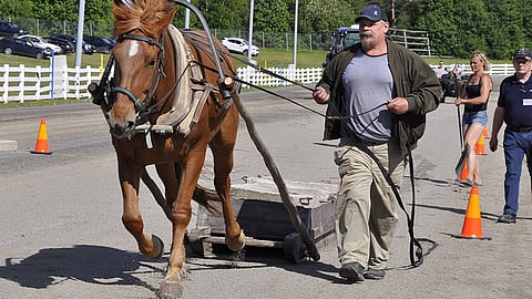 Mikko Uusimäki ja Henkan Juulia veivät työmestaruuden nimiinsä viime vuonna Oulussa.