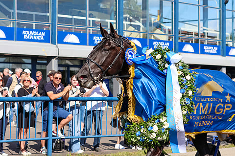 Ravit Ruotsi