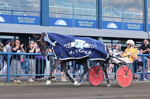 Ravit Norja