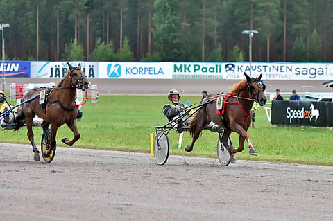 Henri Bollströmin ohjastama ravihevonen Caru
