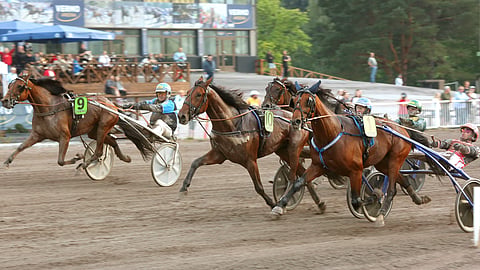 Ohjastaja Juha Utalan kanssa ravuri Ze On Alma.