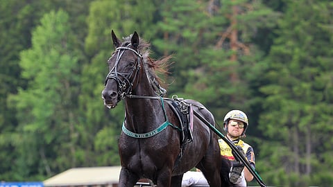 Ravit Ruotsi