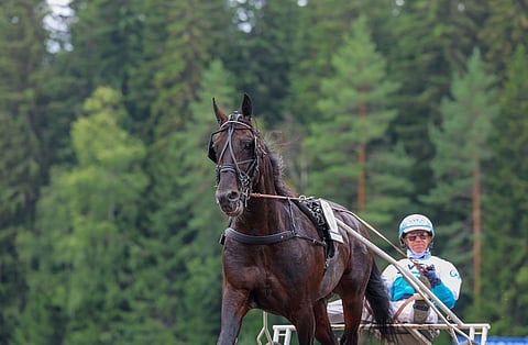 Ravit Ruotsi