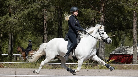 Kilpailu alkaa torstaina 16.9. passiluokalla. Kuvassa Gerda-Eerika Viinanen ja Svala frá Minni-Borg. 