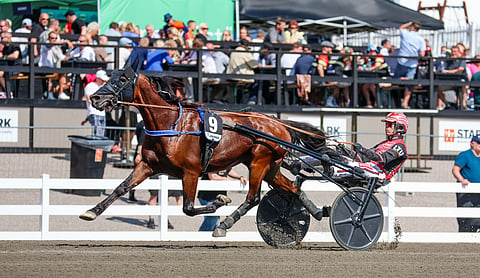 Ravit Ruotsi