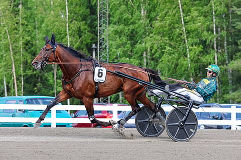 Massimo Hoist ja Hannu Torvinen