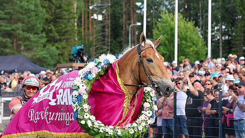 Hallitseva ravikuningatar Suven Sametti tähyää Oulusta jo neljättä titteliään.