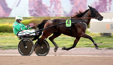 Ravit Ruotsissa