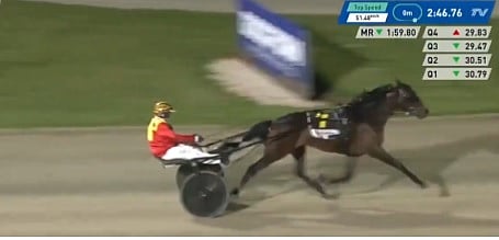 Ravit Australia
