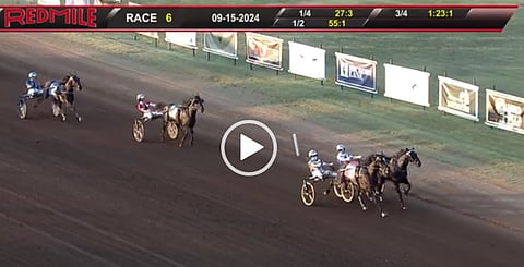 Ravit USA