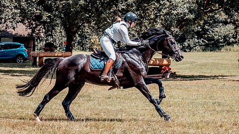 Ibsen tekee nyt tuloaan kolmeen tähteen. 