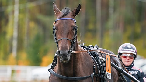 Lil Runner rattaillaan Miia Salminen