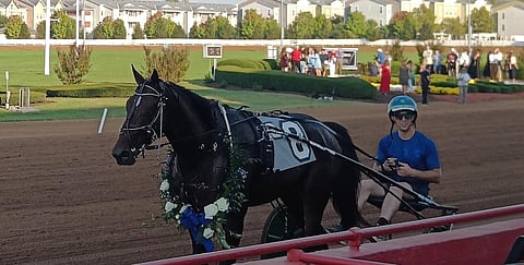 Ravit USA