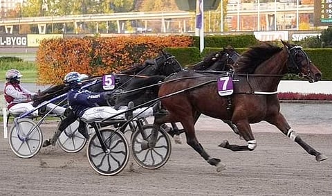 Ravit Ruotsi