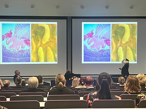ELL, tarttuvien eläintautien erikoiseläinlääkäri Katja Hautala väitteli perjantaina Viikissä hevosten sisäloisista. Professori Johan Höglund Ruotsin maatalousyliopistollta toimi vastaväittäjänä ja Antti Sukura kustoksena. Kuvassa näkyy hevosen heisimato ja sinisessä kuvassa on sen pää suurennettuna.  