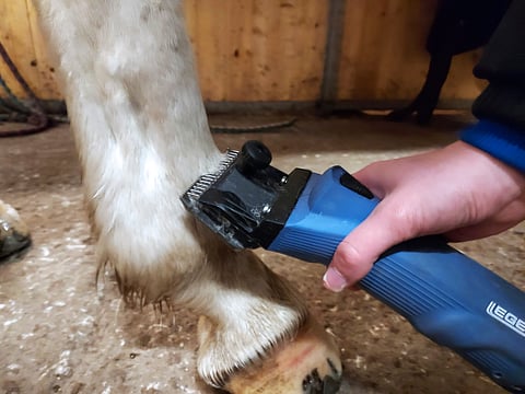 Klippaamaan.