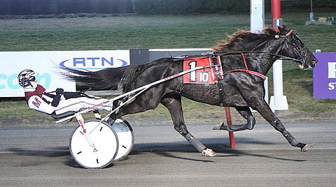 Ravit USA