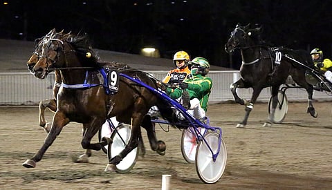 Dollar Combo Jukka Torvinen Vermo