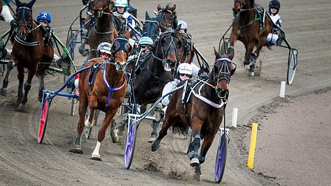 Ravit kokelaslähtö