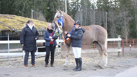 Toivolan Valekro. Vasemmalta kasvattaja Suvi Kari, omistaja Ellu Sieppi ja ratsastaja Kristiina Raudnagel. 
