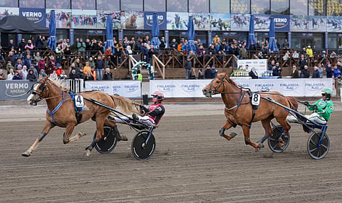 Stallone kirii Erkon Pokaalin sankariksi.