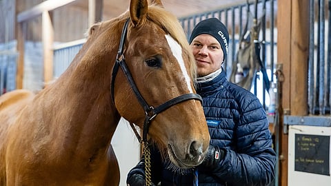 Heikki Mikkonen kuvailee Vilkkeen Viehätystä kehityskelpoiseksi varsaksi.