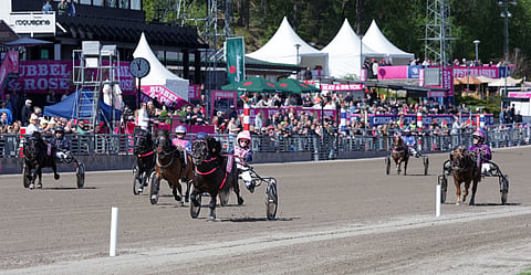 Mini Elitloppet ravit