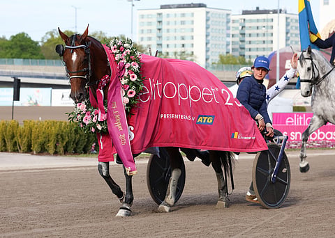 Ravit Belgiassa