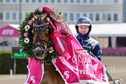 Ponit Lilla Elitloppet