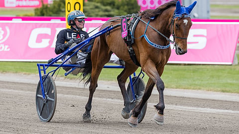 Ravit Ruotsi