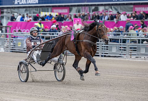 Ravit Ruotsi