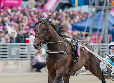 Ravit Ruotsi