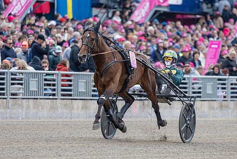 Ravit Kouvola