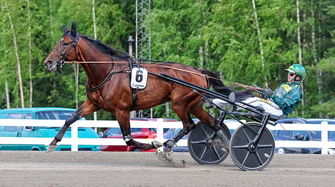 Massimo Hoist ja Hannu Torvinen