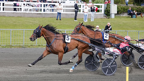 Goodwin Zet ja Santtu Raitala.