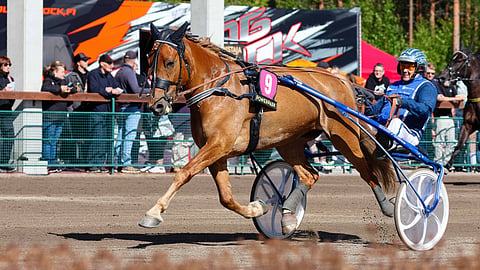 Huisi Hippu ja Kim Åkerlund