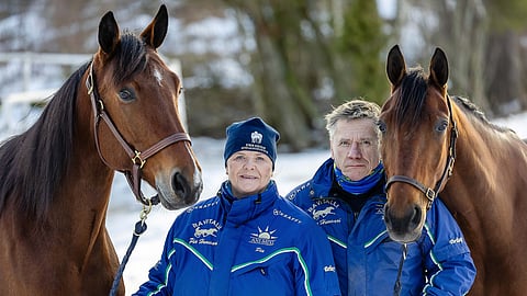 Pia Huusari, Roi Iltanen, Gunvald Tartar, I Love You Sisu