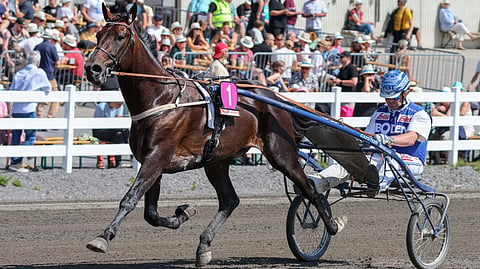 Idomenio Sisu rattaillaan valmentaja Petri Salmela