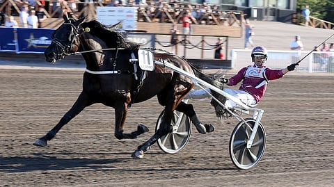 Aurelia's Pearl KS oli yksi niistä onnistujista, jotka nostivat Tino Keväänrannan muutama vuosi sitten koko kansan tietoisuuteen.