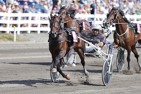Ravit Norja