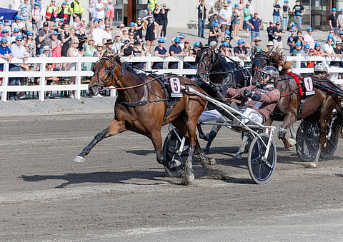 Ravit USA