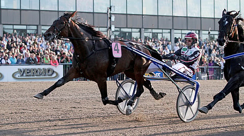 Venice haki kovan avauksen jälkeen ensin johtopaikan Derbyssä vuonna 2013. Maalin se saapui toisena.